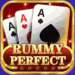 Rummy Perfect apk download