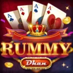 rummy dhan apk download